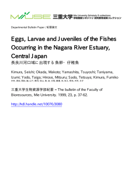 ファイルを開く - MIUSE