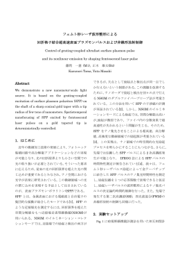 フェムト秒レーザ波形整形による 回折格子結合超高速表面プラズモン