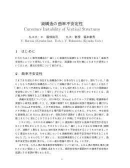 渦構造の曲率不安定性