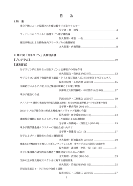 分子スピン通信NO.2 - 横山G（分子研・電子構造部門）