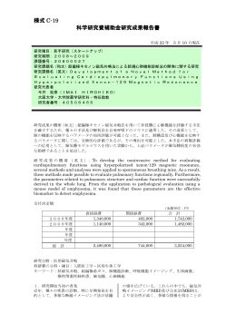 様式 C-19 科学研究費補助金研究成果報告書 - KAKEN
