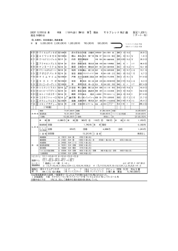 サラブレッド系2歳