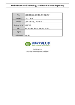 流動誘起型液晶圧電効果の数値解析