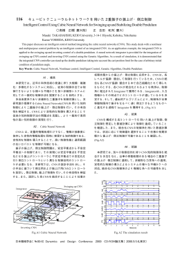 キュービックニューラルネットワークを用いた 2 重振子の
