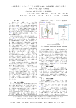 一様流中におかれた二次元形状を有する振動柱と周辺気流の 相互作用