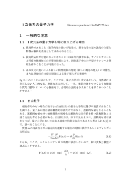 1次元系の量子力学 1 一般的な注意