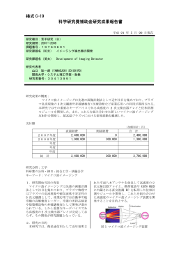 様式 C-19 科学研究費補助金研究成果報告書 - KAKEN