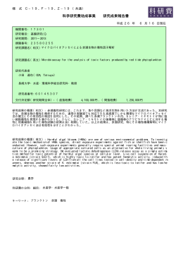科学研究費助成事業 研究成果報告書