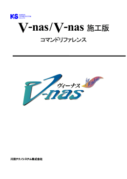 V-nas/V-nas 施工版