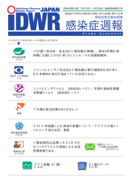 2004年第51号