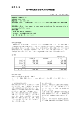 様式 C-19 科学研究費補助金研究成果報告書 - KAKEN