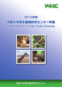 2010年度年報（PDFファイル）