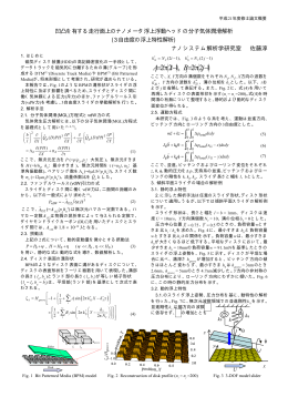 凹凸を有する走行面上のナノメータ浮上浮動ヘッドの分子気体潤滑解析