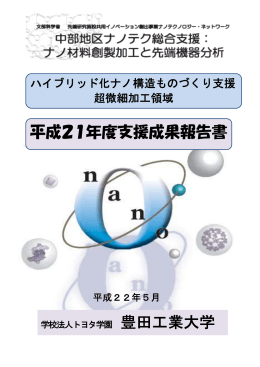 平成21年度支援成果報告書