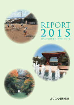 2015年ディスクロージャー