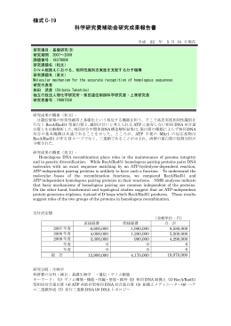 様式 C-19 科学研究費補助金研究成果報告書 - KAKEN