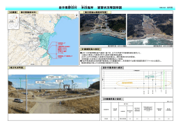 岩手県野田村 米田海岸 被害状況等説明図