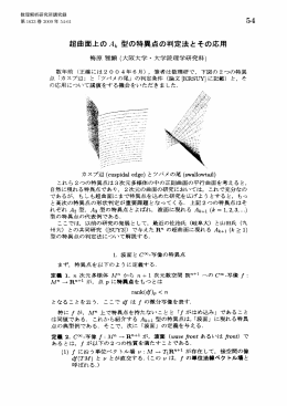 型の特異点の判定法とその応用