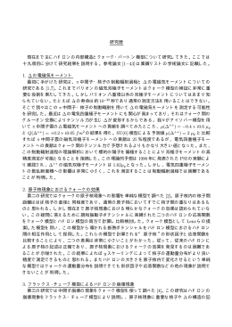 研究歴 現在まで主にハドロンの内部構造とクォーク