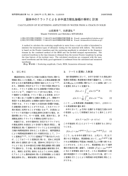 固体中のクラックによる水中遠方散乱振幅の解析と計測