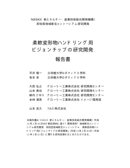 柔軟変形物ハンドリング用 ビジョンチップの研究開発 報告書