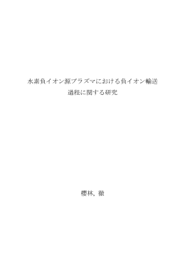 水素負イオン源プラズマにおける負イオン輸送 過程に関する研究 櫻林, 徹