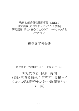 研究終了報告書 研究代表者：伊藤 寿浩 （（独）産業