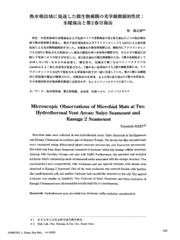 Microscopic Observations of MicrobialMats at Two
