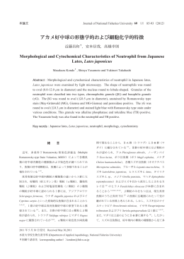 アカメ好中球の形態学的および細胞化学的特徴
