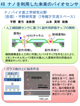 PowerPoint プレゼンテーション