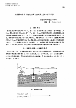 透水性を有する海底起伏と表面重力波の相互干渉(流体