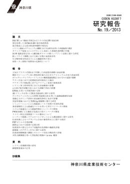 全文 : 研究報告 2013（平成25年度）