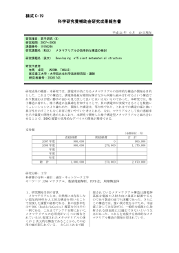 様式 C-19 科学研究費補助金研究成果報告書 - KAKEN
