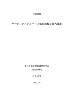 カーボンナノチューブの散乱過程と発光強度