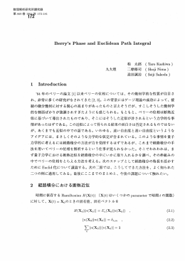 Berry`s Phase and Euclidean Path Integral