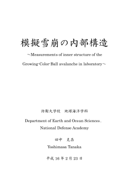 模擬雪崩の内部構造 - National Defense Academy