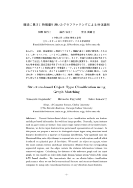 Structure-based Object Type Classification using Graph Matching