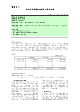 様式 C-19 科学研究費補助金研究成果報告書 - KAKEN