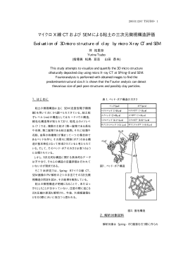 マイクロX 線 CT および SEM による粘土の三次元微視構造評価