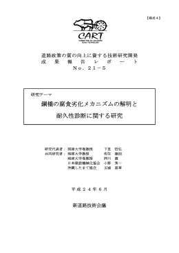 鋼橋の腐食劣化メカニズムの解明と 耐久性診断に関する研究