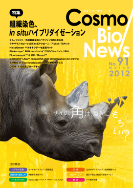 PDFダウンロード