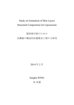 Study on Estimation of Skin Layers Structural Composition for