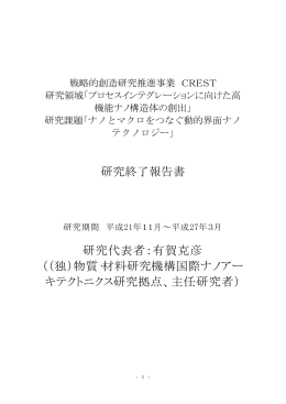 ナノとマクロをつなぐ動的界面ナノテクノロジー