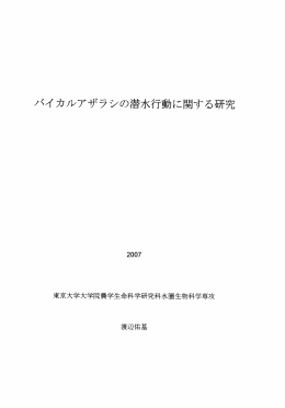 バイカルアザラシの潜水行動に関する研究