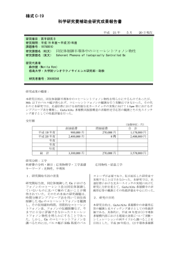様式 C-19 科学研究費補助金研究成果報告書 - KAKEN