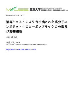 溶媒キャストにより作り出された高分子コ ンポジット - MIUSE