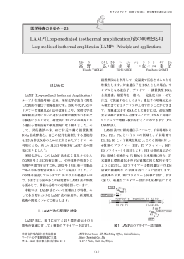 LAMP（Loop-mediated isothermal amplification）法の原理