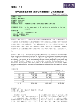 研究成果報告書 - KAKEN - 科学研究費助成事業データベース