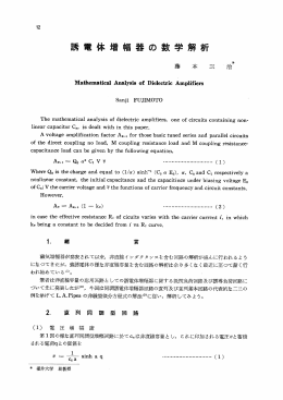 誘電体増幅器の数学解析