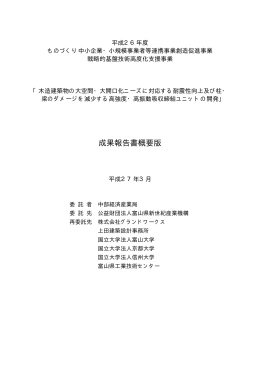 成果報告書概要版